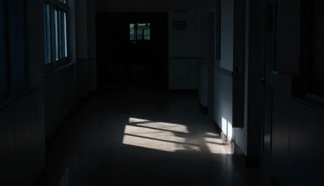 贸易中科技应用选型与使用建议