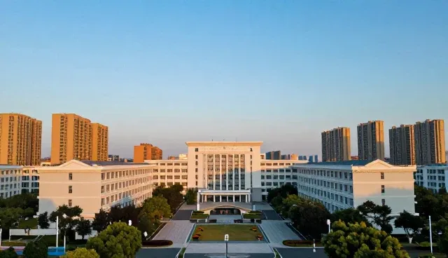 如何提升信息查询平台的使用效率?
